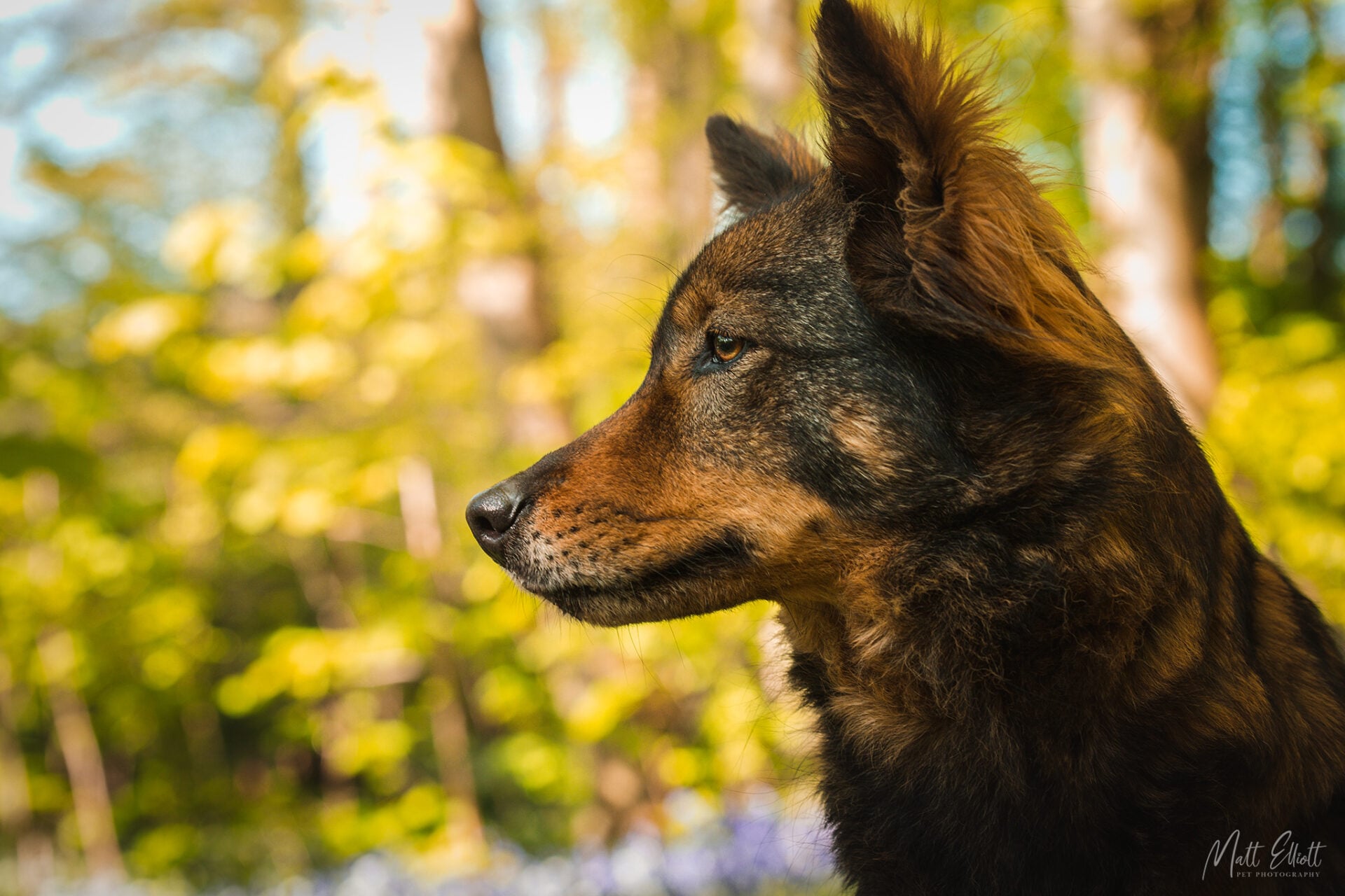 Kanita Close Up