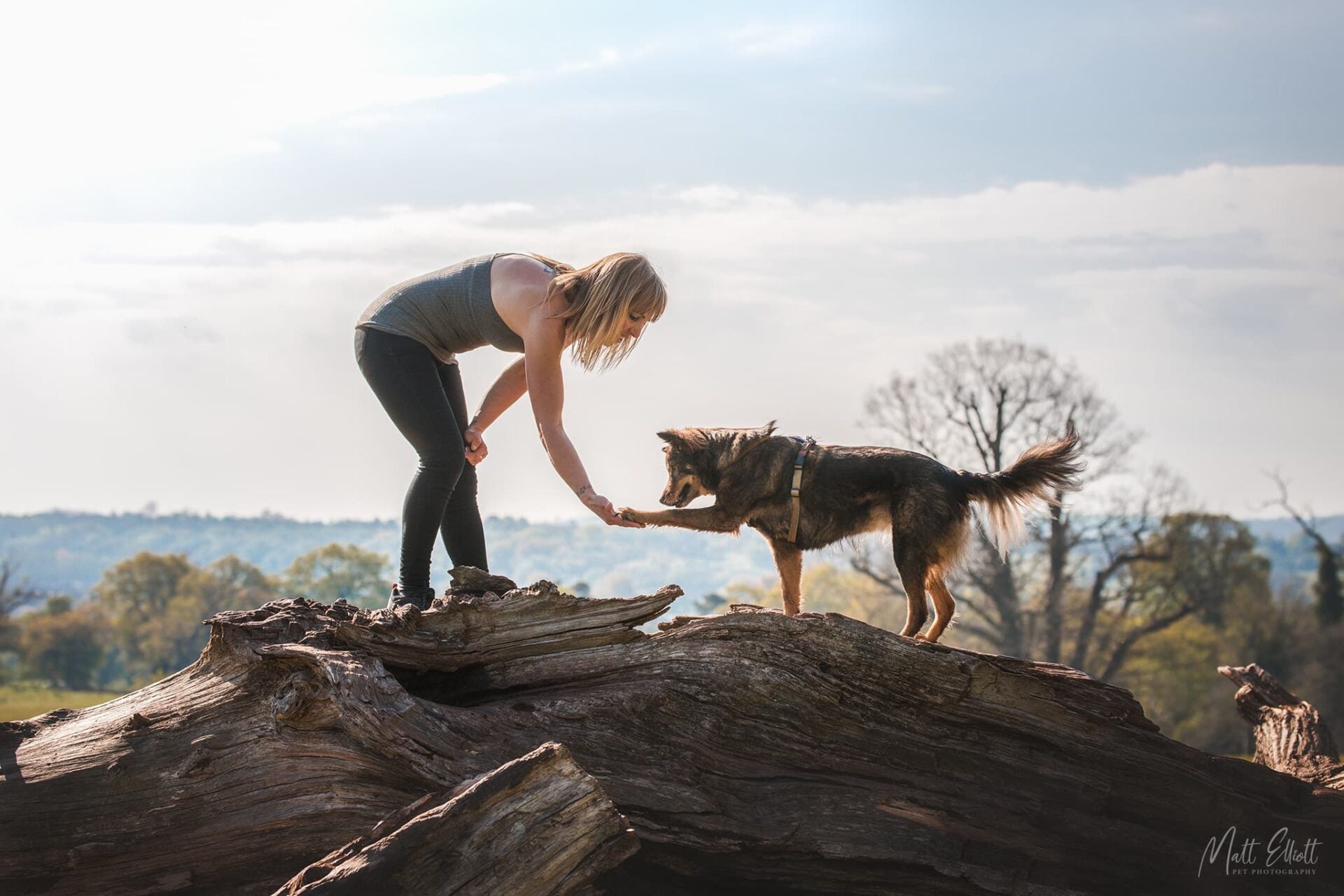 Roz Pooley training her rescue dog Kanita
