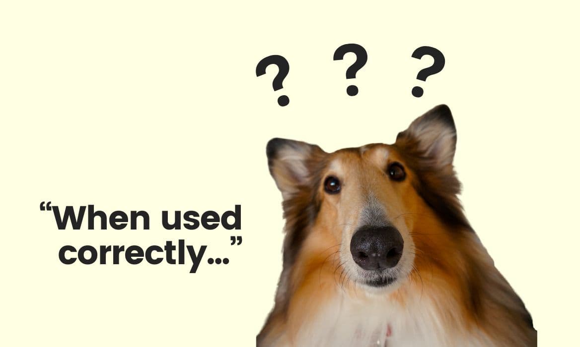Dog looking confused to camera