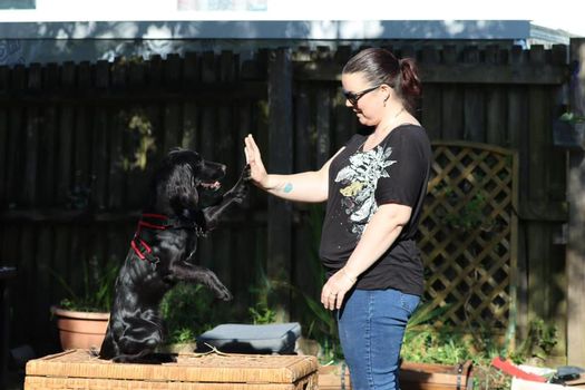 High Five
