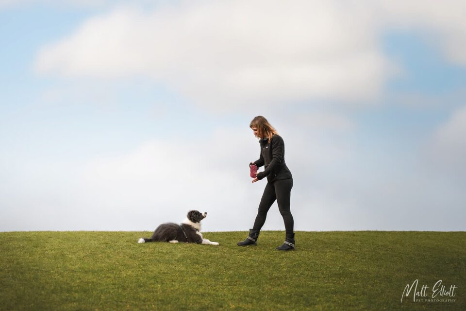 Roz training a puppy control exercises