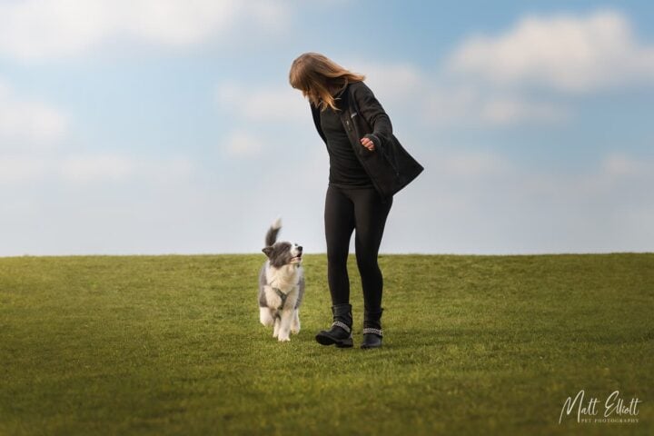 Roz training her collie puppy Mowhawk