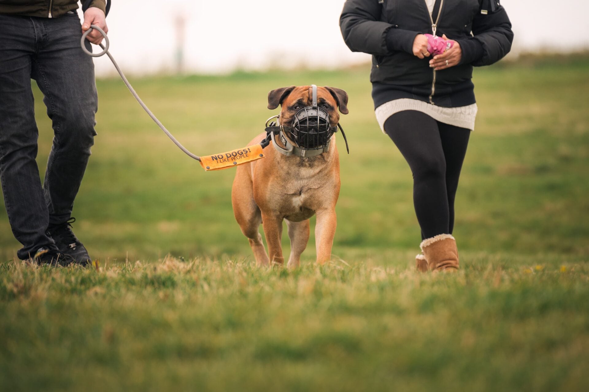 Reactive Dog Training Session showing a muzzled dog and its owners