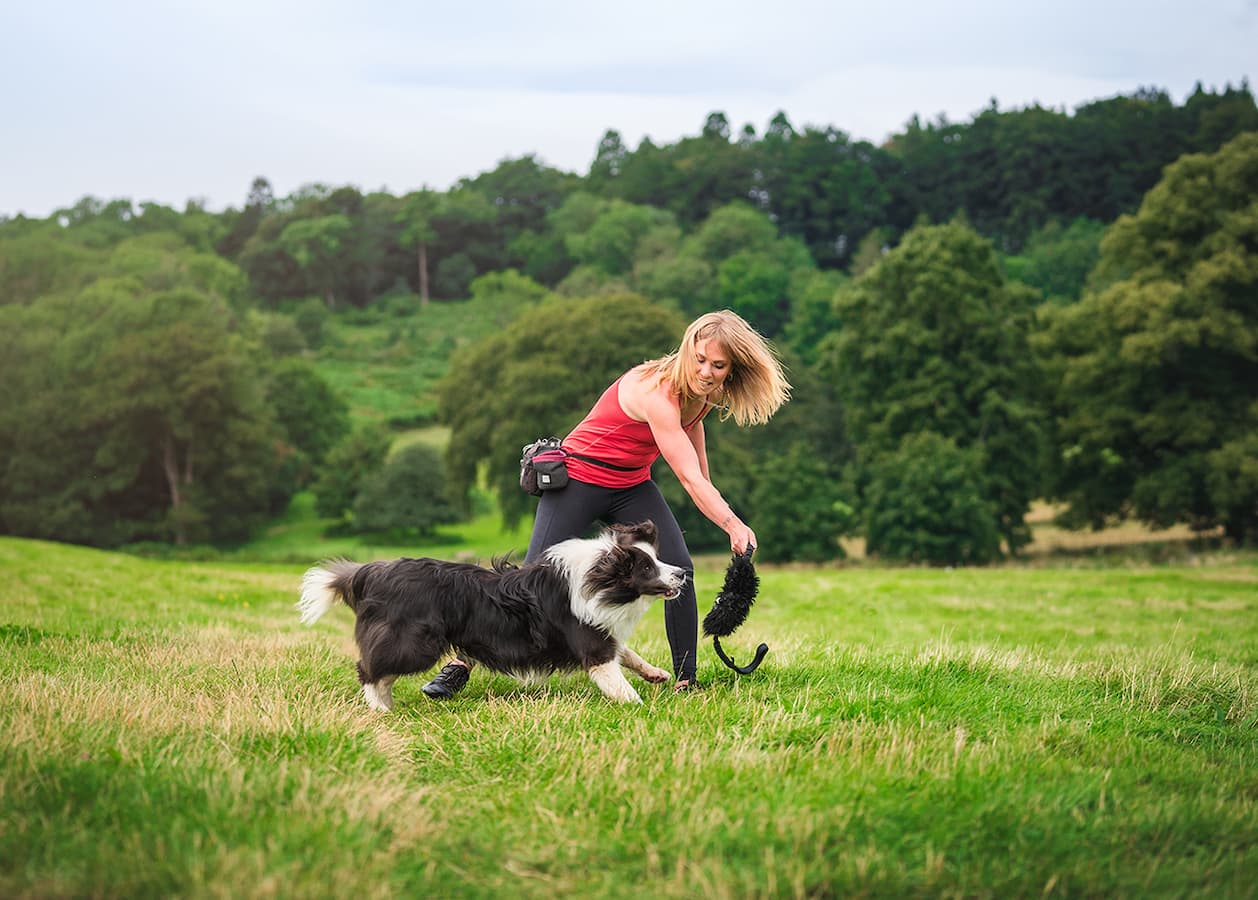Roz training her border collie