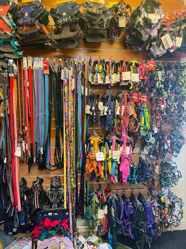 Shop Dog Harnesses