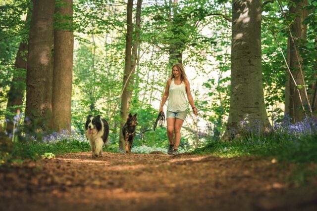 Roz walking in woodland with her dogs on a longline